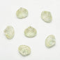 Electroplated Spiral Shell Glass Beads 14mm Iridescent Colors 30pcs 18