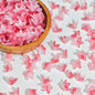 Gradient Five-Petal Flower Glass Beads 10x12mm Translucent Mixed Colors 50pcs 12