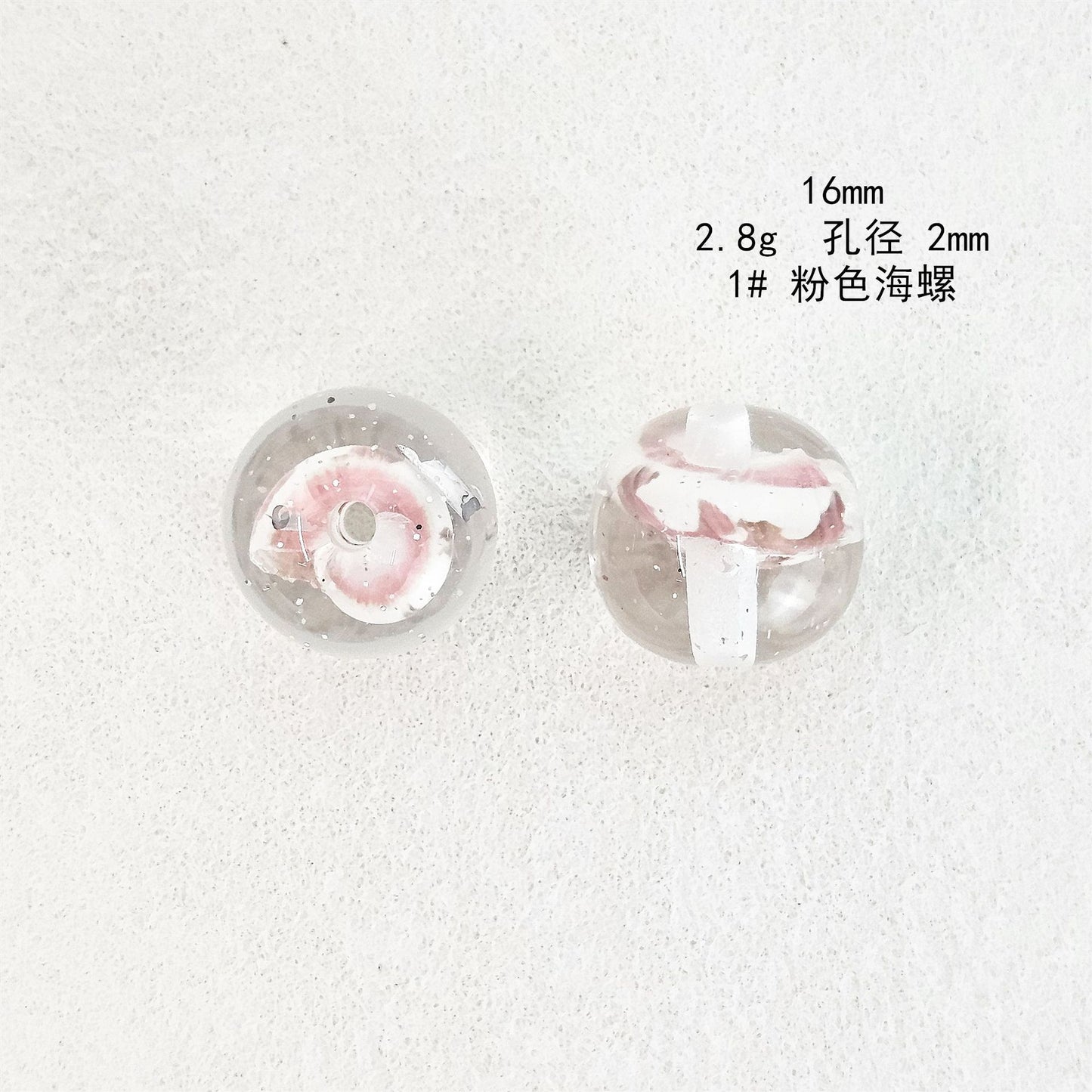 Clear Sea Snail Resin Beads 16mm Round Natural Shell 10pcs 5