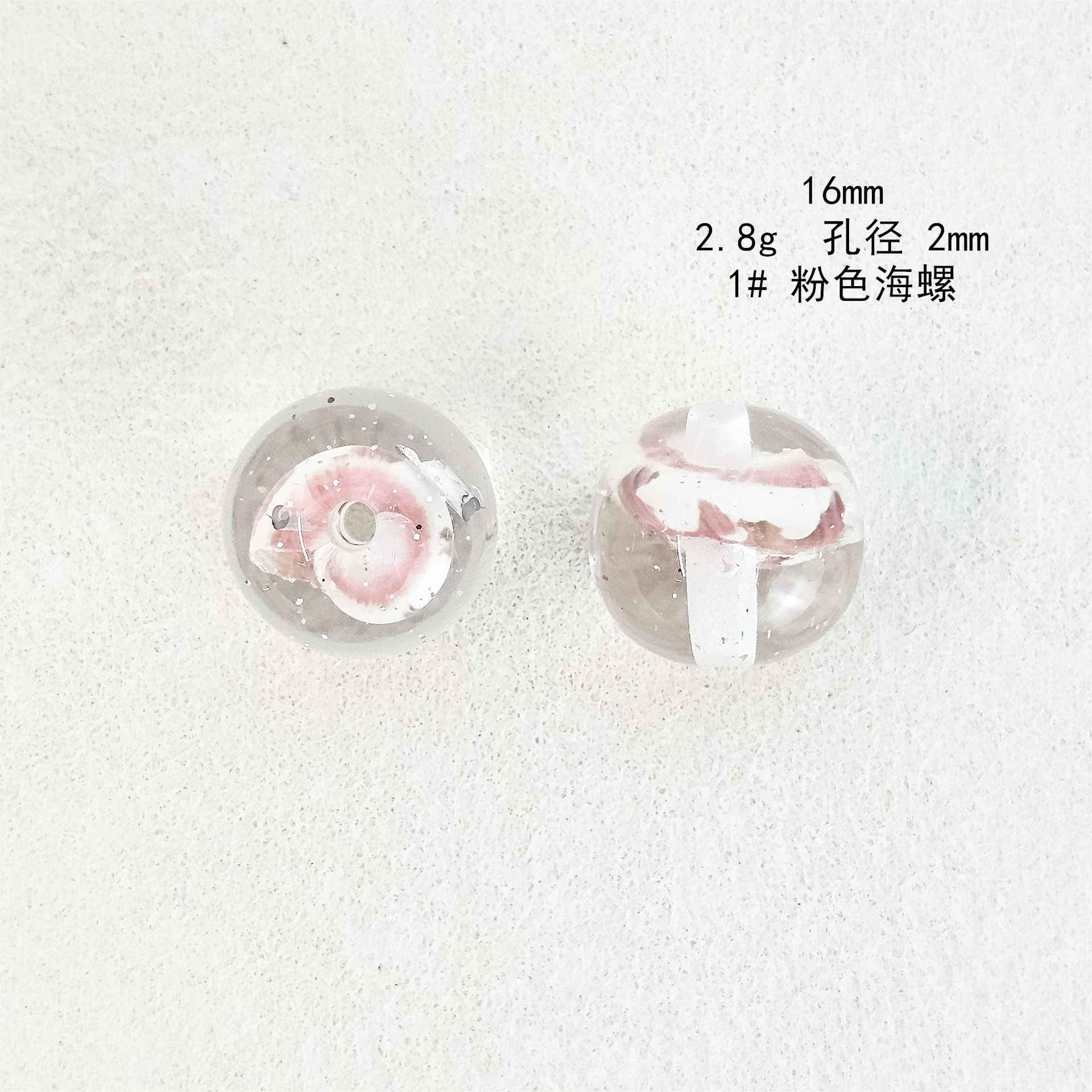 Clear Sea Snail Resin Beads 16mm Round Natural Shell 10pcs 5