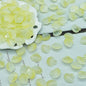Czech Glass Beads Scallop Shell 16-18mm Frosted Pastel Colors 25pcs 16