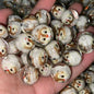 Clear Acrylic Round Beads 16mm Cartoon Figures 20pcs 3