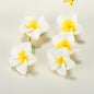 Plumeria Clay Beads 20mm Tropical Colors Polymer 10pcs 12