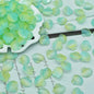 Czech Glass Beads Scallop Shell 16-18mm Frosted Pastel Colors 25pcs 15