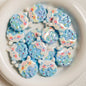 Sanri Cookies Series Resin Beads 26mm Pastel Glossy 5pcs 5