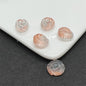 Czech Glass Beads Conch 14mm Translucent Pastel Mixed 100pcs 2