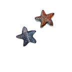 Czech Glass Sea Star Glass Beads 14mm Translucent Colors 100pcs 5