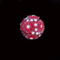 Floral Bubblegum Beads 19mm Little Daisy Cluster Rhinestone 10pcs 6