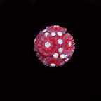 Floral Bubblegum Beads 19mm Little Daisy Cluster Rhinestone 10pcs 6