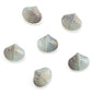 Electroplated Spiral Shell Glass Beads 14mm Iridescent Colors 30pcs 9