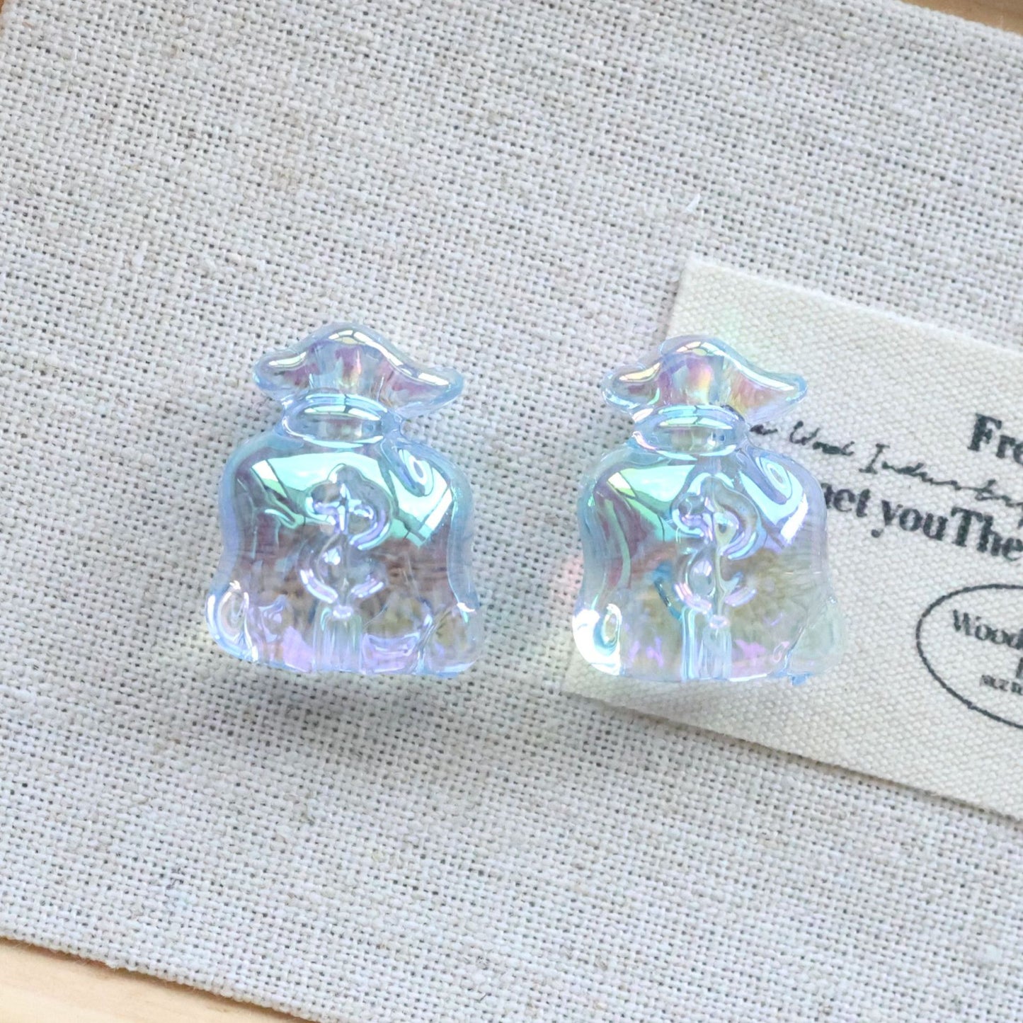 UV Plating Money Bag Acrylic Beads 22mm Translucent Pastel 20pcs 9