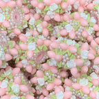 Flower Leaves Cluster Clay Beads 26mm Pastel Embellished 5pcs 4