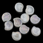 Electroplated Snail Glass Beads 12mm Transparent Iridescent 30pcs 6