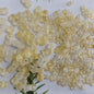 Acrylic Peanut Spacer Beads 3x6 6x11mm Transparent Frosted Gilded 1000pcs 13
