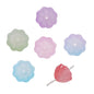 Gradient Lotus Seed Acrylic Beads 10mm Translucent Textured 100pcs 13