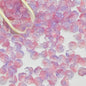 Campanula Flower Glass Beads 7x12mm Frosted Glossy Pastel 50pcs 19