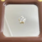 White Doodle Kitten Star Acrylic Beads 19mm Glossy 10pcs 2