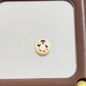 Flat Rubberized Acrylic Beads 16mm Panda Dachshund Pattern 10pcs 2