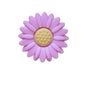 Silicone Focal Beads Daisy Sunflower Round Layout 20pcs 6