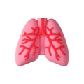 Silicone 3D Focal Beads Cartoon Organs Anatomical Shapes 20pcs 11