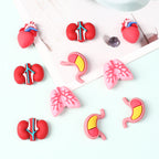 Silicone 3D Focal Beads Cartoon Organs Anatomical Shapes 20pcs 2