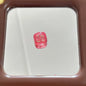 Transparent Square Acrylic Beads 16mm Watermelon Bear Designs 10pcs 6