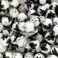 15mm Silicone Beads Black Halloween Haunted House Printed 50pcs