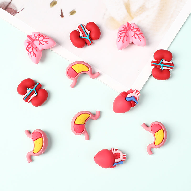 Silicone 3D Focal Beads Cartoon Organs Anatomical Shapes 20pcs 6