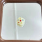 Animal Printed Square Acrylic Beads 16mm Colorful Glossy 10pcs 7