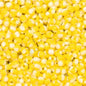 Dual Color Striped Seed Glass Beads 4mm Orange Green 900pcs 10